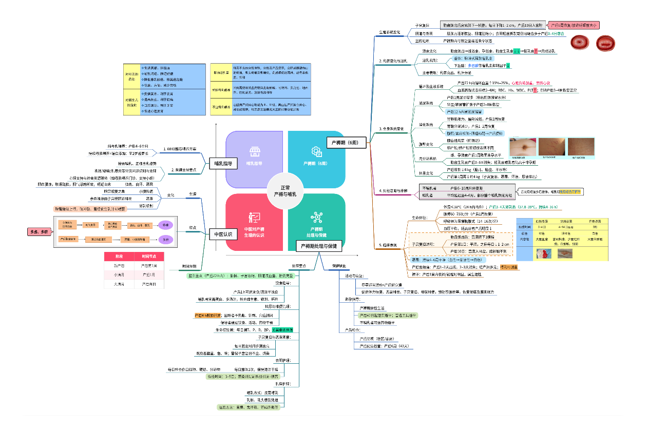  正常产褥与哺乳