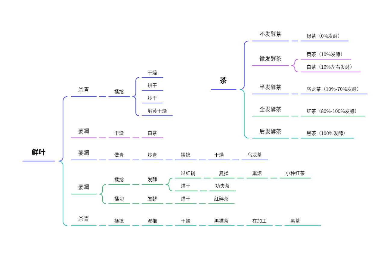 茶叶发酵分类与加工工艺图