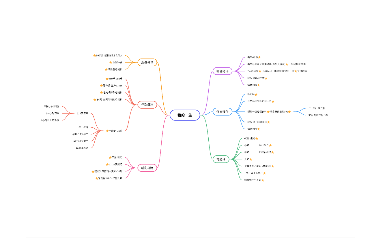 猪的一生思维导图