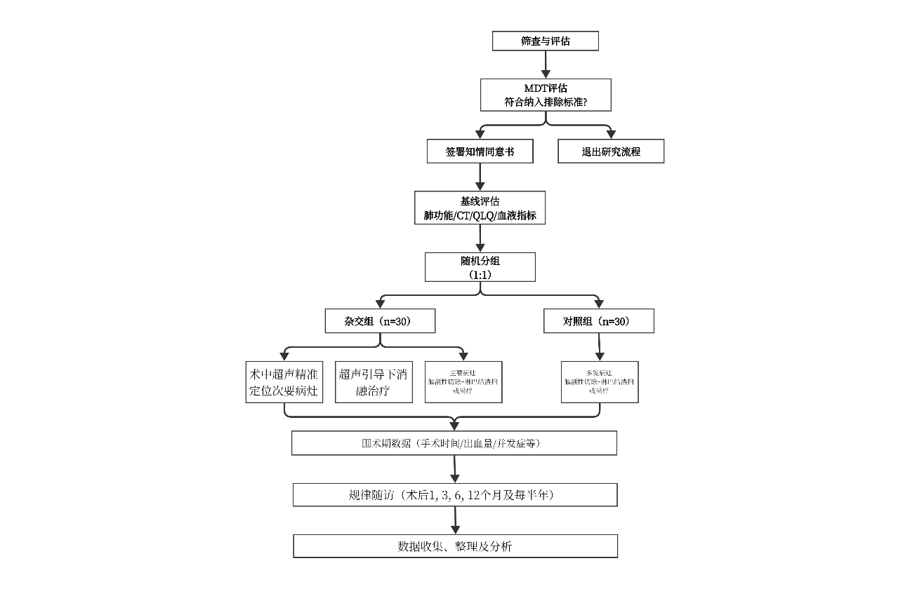 肺部手术临床研究流程图