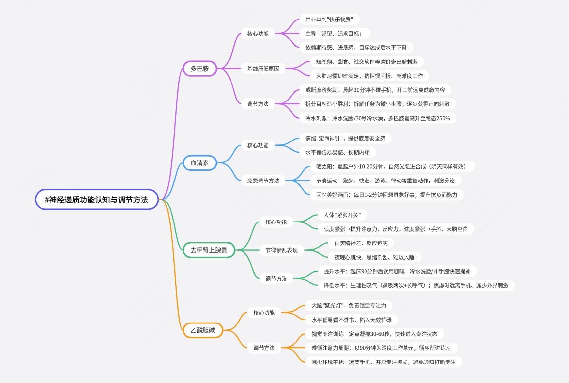 掌控大脑的四种激素