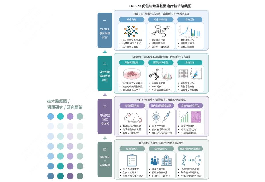 生物医学四段式课题技术路线图模板