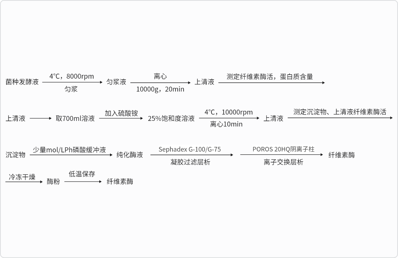纤维素酶的分离纯化流程