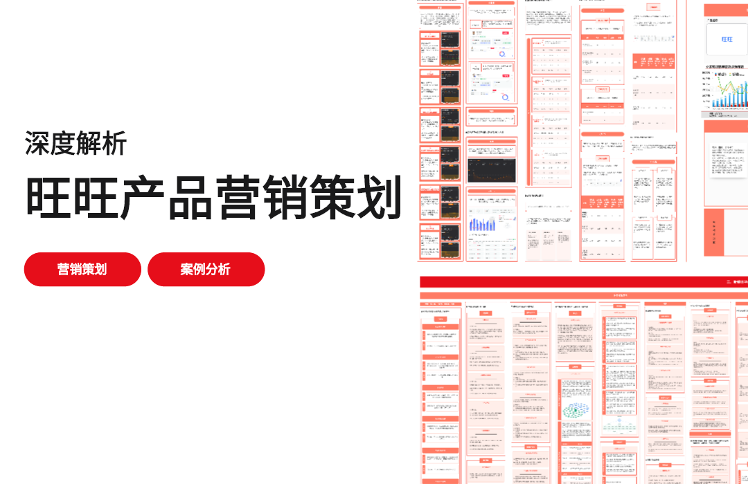 旺旺产品营销策划
