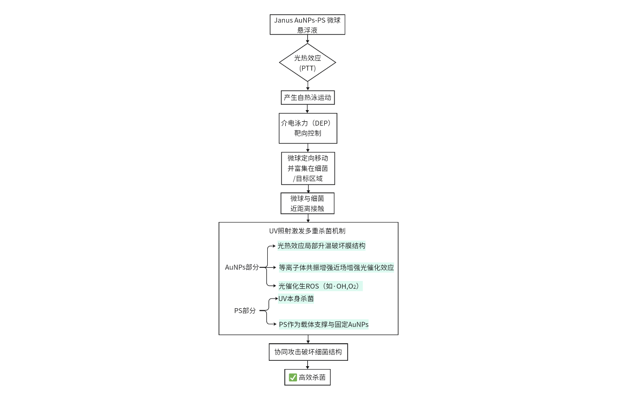 Janus光热协同杀菌机制流程图
