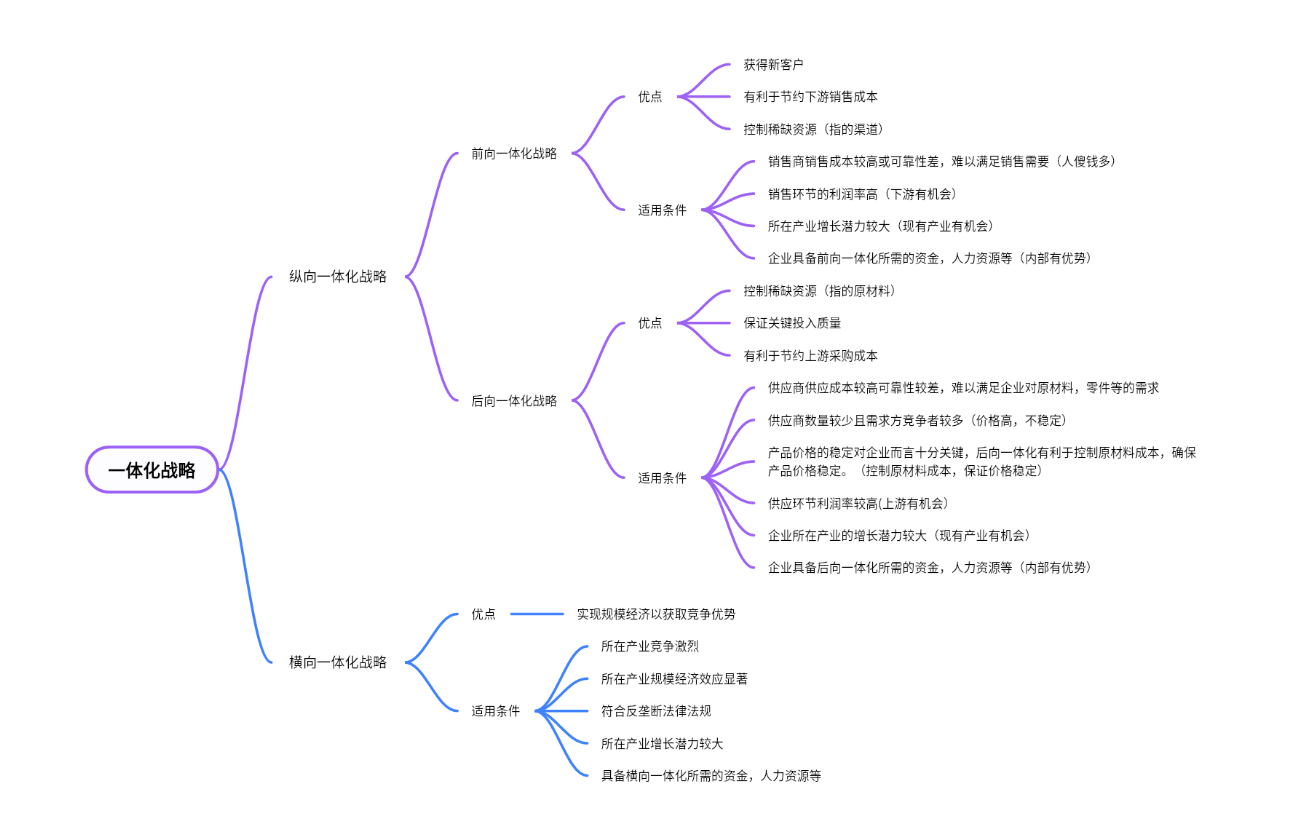 注会战略一体化总结