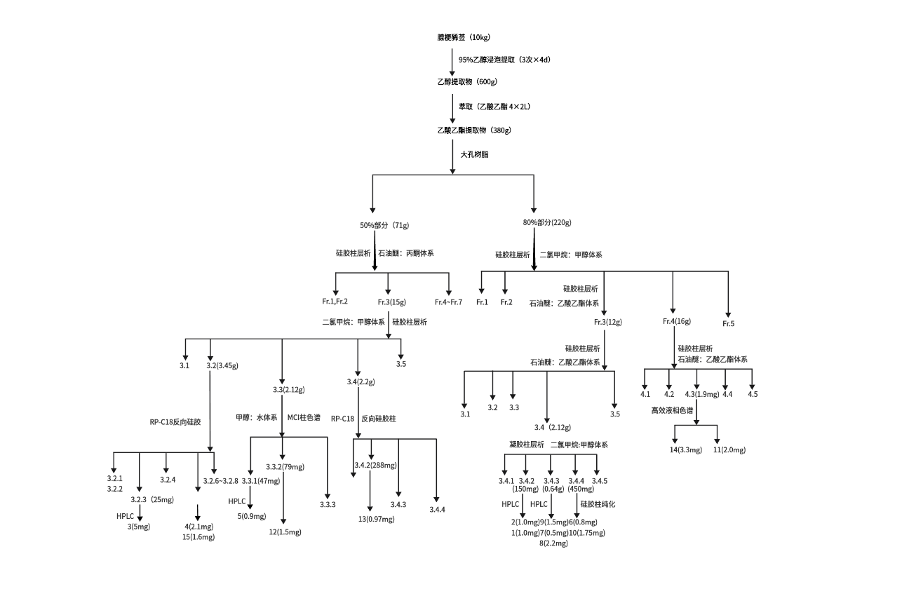 腺梗豨莶活性成分的提取与纯化