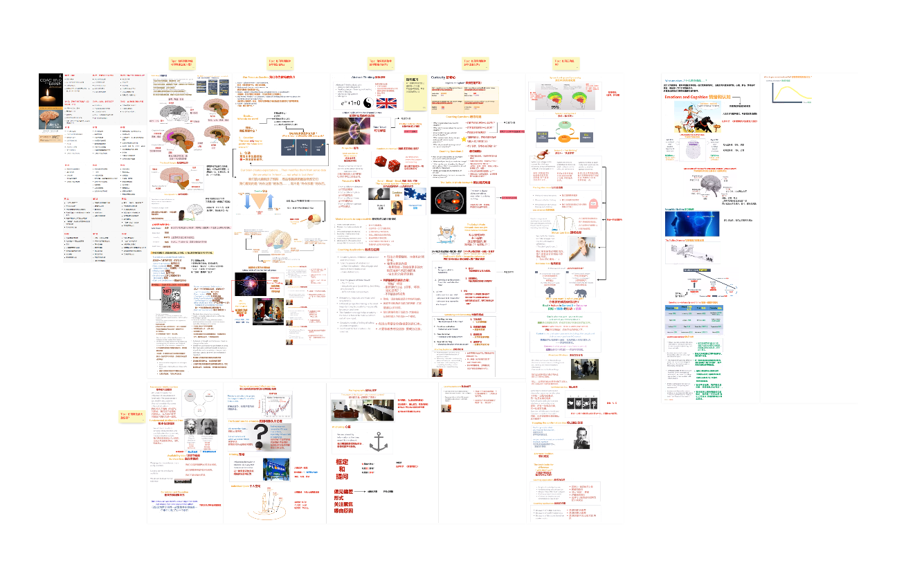 脑神经学教练学习笔记